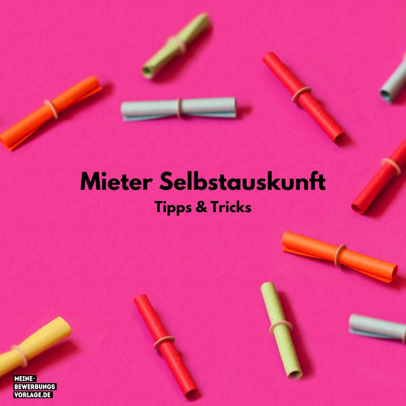 Mieterselbstauskunft: Was Sie angeben müssen + kostenlose Vorlage - Meine-Bewerbungsvorlage