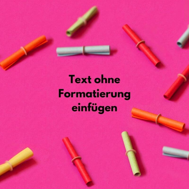 Blog: Text ohne Formatierung einfügen - Meine-Bewerbungsvorlage