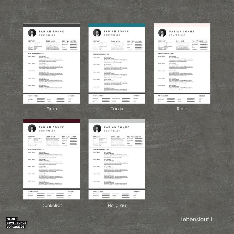 Lebenslauf Vorlage / Bewerbung Vorlage / Bewerbungsvorlage No.12 Meine-Bewerbungsvorlage - Übersicht Lebenslauf alle Farben - Meine-Bewerbungsvorlage