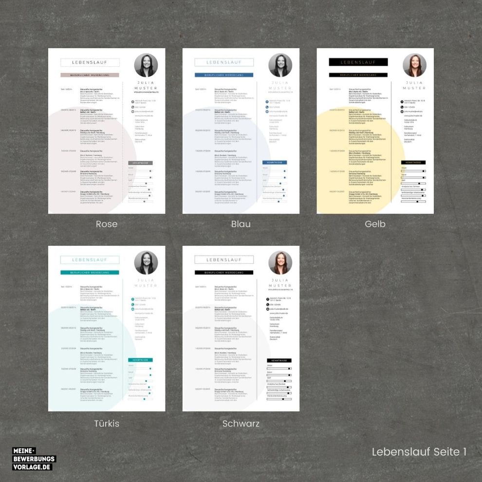 Lebenslauf Vorlage / Bewerbung Vorlage / Bewerbungsvorlage No.7 Lebenslauf 1 - Meine-Bewerbungsvorlage