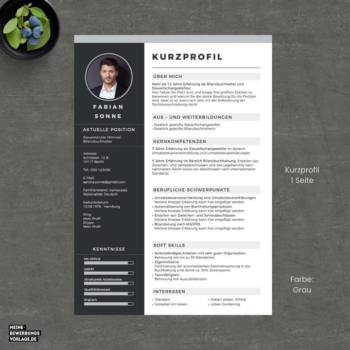 Kurzprofil Lebenslauf - No.3 Kurzbewerbung / Kurzprofil - Meine-Bewerbungsvorlage - Farbe Hellgrau - 1 Seite CV